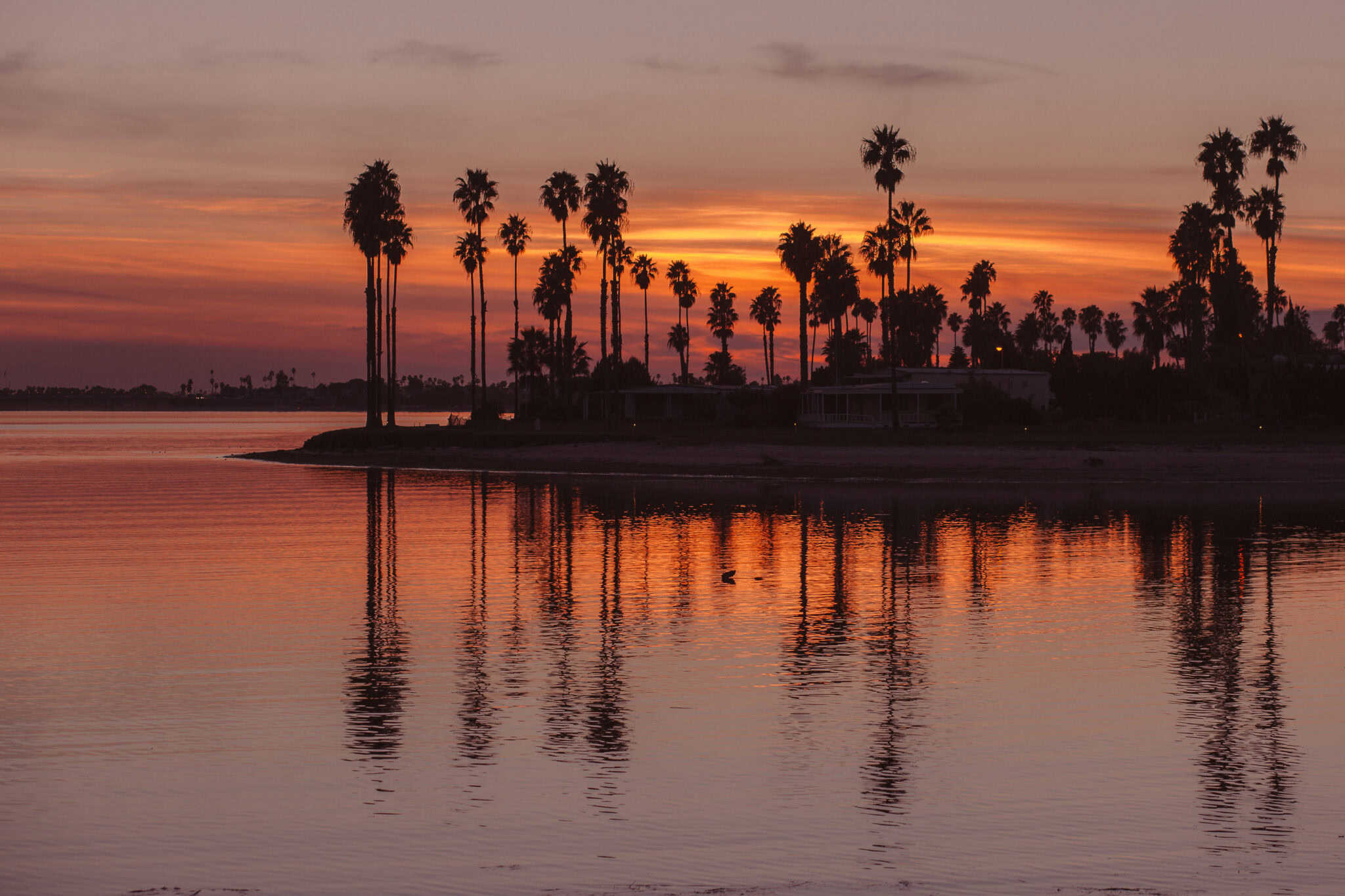 17 Romantic Staycations in San Diego for Couples