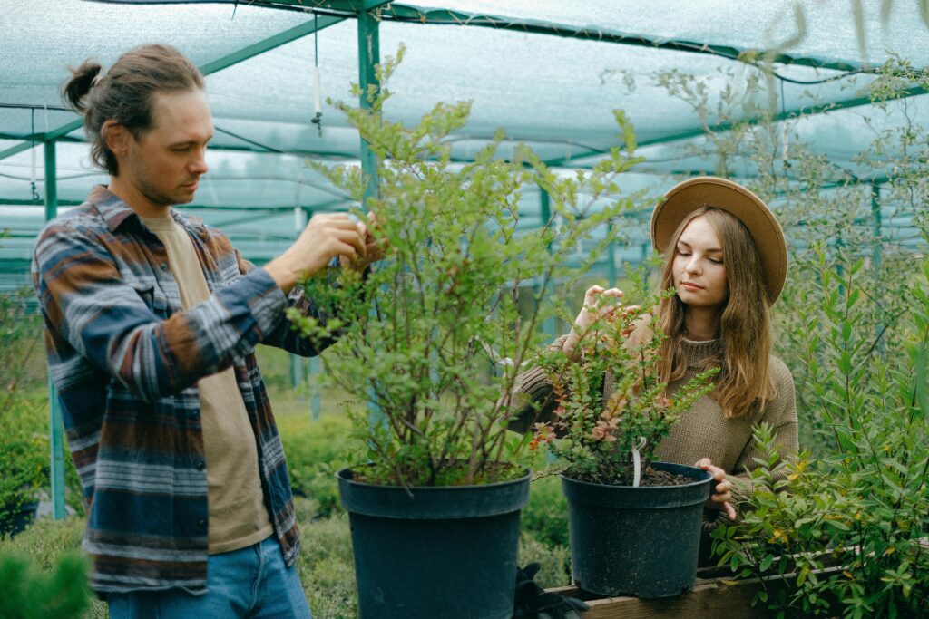 Couple growing together